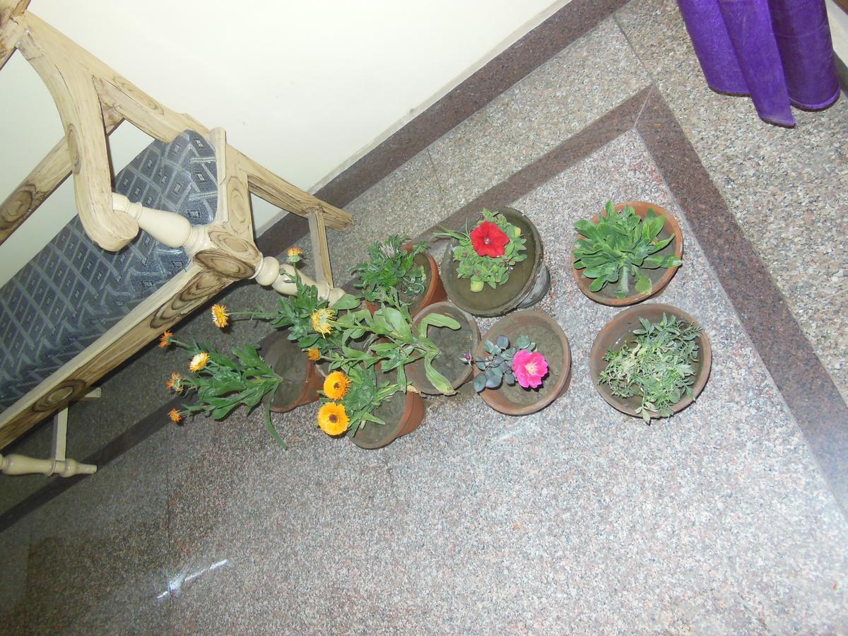 गेस्ट हाउस Shiva Varanasi